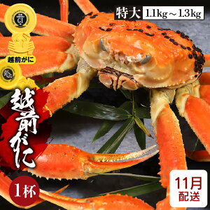 yӂ邳Ɣ[Łz [①] l䥂ŁzO TCY × 1ti1.1`1.3kgjGI^Ot ^̉zOɁIyY YCKj 킢 p {C ① 䌧zy11z]