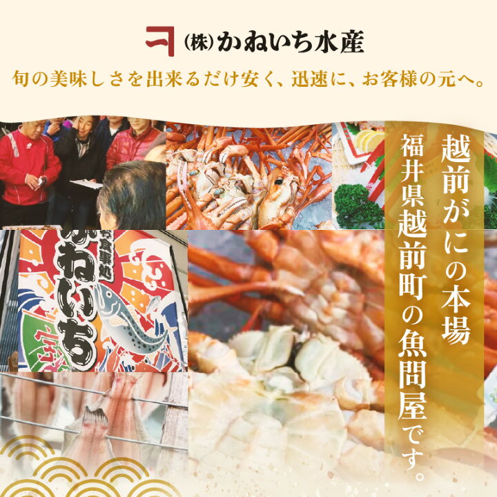 カニ 【からし・マスタード】 福井県 南越前町  先行予約 🎑 年末お届け予定 越前がに 大 （1kg以上） 1杯