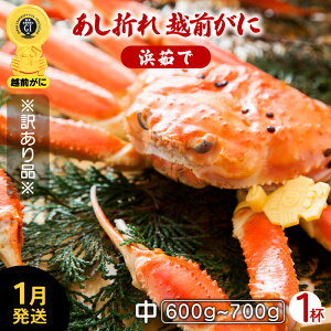 yӂ邳Ɣ[Łzy󂠂zzOɖ{̉zO炨͂IzO ܂ l䥂 TCY1ti600`700gjnŊ΂ŉEy Jj I Y YCKj {C 