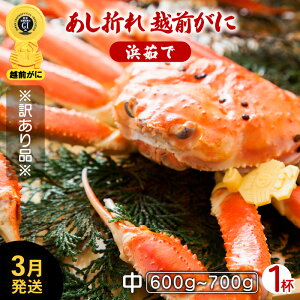 yӂ邳Ɣ[Łzy󂠂zl䥂Ł⑫܂ zO TCY × 1ti600`700gjnŊ΂ŉEł͂IyY YCKj 킢 p {C ① 䌧zy3