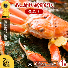 【ふるさと納税】【訳あり】≪浜茹で≫足折れ 越前がに 大サイズ × 1杯（生で0.9〜1kg）地元で喜ばれるゆで加減・塩加減でお届け！【雄 ズワイガニ ずわいがに 姿 ボイル 冷蔵 福井県】【2月発送分】希望日指定可 備考欄に希望日をご記入ください [e23-x002_02]