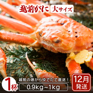 yӂ邳Ɣ[Łzl䥂ŁzO TCY × 1ti0.9`1kgjnŊ΂ŉEŉzO̍`璼IyY YCKj 킢 zOKj p {C ① 䌧zy
