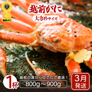 yӂ邳Ɣ[Łzl䥂ŁzO킢I 傫߃TCY× 1ti800`900gjnŊ΂ŉEŉzO̍`璼IyY YCKj 킢 p {C ① 䌧zy3