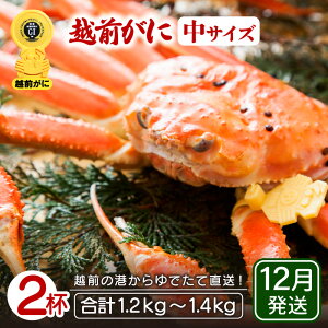 yӂ邳Ɣ[Łzl䥂ŁzO TCY × 2ti600`700gjnŊ΂ŉEł͂IyY YCKj 킢 zOKj p {C ① 䌧zy12