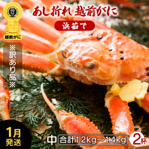 yӂ邳Ɣ[Łzy󂠂z܂ zO TCY × 2ti1t600`700gjnŊ΂ŉEŉzO̍`璼IyY YCKj 킢 p {C ① 䌧zy1