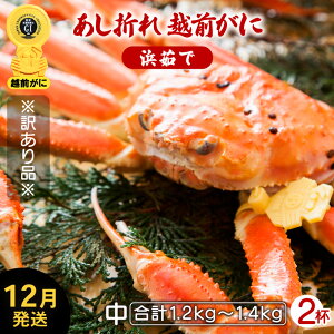 yӂ邳Ɣ[Łzy󂠂z܂ zO TCY × 2ti1t600`700gjnŊ΂ŉEŉzO̍`璼IyY YCKj 킢 p {C ① 䌧zy12