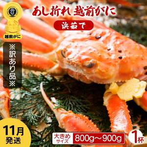 yӂ邳Ɣ[Łzy󂠂z܂ zO 傫߃TCY × 1ti800`900gjnŊ΂ŉEŉzO̍`璼IyY YCKj 킢 p {C ① 䌧zy11