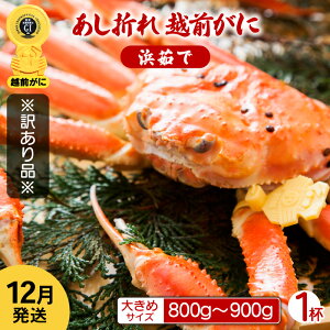 yӂ邳Ɣ[Łzy󂠂z܂ zO 傫߃TCY × 1ti800`900gjnŊ΂ŉEŉzO̍`璼IyY YCKj 킢 p {C ① 䌧zy12