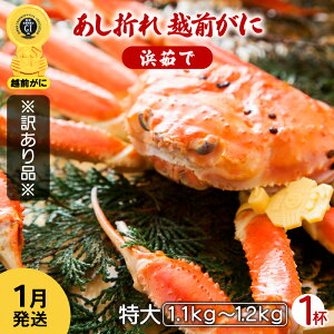 yӂ邳Ɣ[Łzy󂠂z܂ zO TCY × 1ti1.1`1.2kgjnŊ΂ŉEŉzO̍`璼IyY YCKj 킢 p {C ① 䌧zy1
