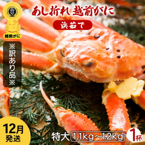 yӂ邳Ɣ[Łzy󂠂z܂ zO TCY × 1ti1.1`1.2kgjnŊ΂ŉEŉzO̍`璼IyY YCKj 킢 p {C ① 䌧zy12