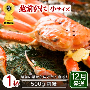 yӂ邳Ɣ[Łzl䥂ŁzO TCY × 1ti500gOjnŊ΂ŉEł͂IyY YCKj 킢 zOKj p {C ① 䌧zy12z