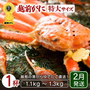 yӂ邳Ɣ[Łzl䥂ŁzO TCY × 1ti1.1`1.3kgjnŊ΂ŉEł͂IyY YCKj 킢 zOKj p {C ① 䌧zy2z
