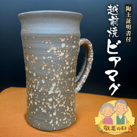 【ふるさと納税】【敬老の日限定】越前焼 ビアマグ 志野 桐箱入り 光窯「陶土証明書あり」焼酎カップ マグカップ 万能カップ 福井県越前町【敬老の日 コーヒーカップ お茶カップ 食器 酒 ビール コップ カップ ギフト 電子レンジ 食洗機 工芸品 陶器 】