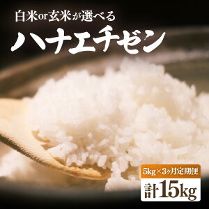 yӂ邳Ɣ[Łzys\zyߘa7NYEVāz 3A͂ niG`[ 5kg × 3iv15kgjyIׂ鐸ĕ@F/āzy10{O菇\zy 