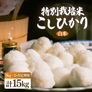 yӂ邳Ɣ[Łzys\zyߘa7NYEVāz 3A͂ ʍ͔| Ђ 5kg × 3iv15kgjyIׂ鐸ĕ@F/āzy10{O菇\