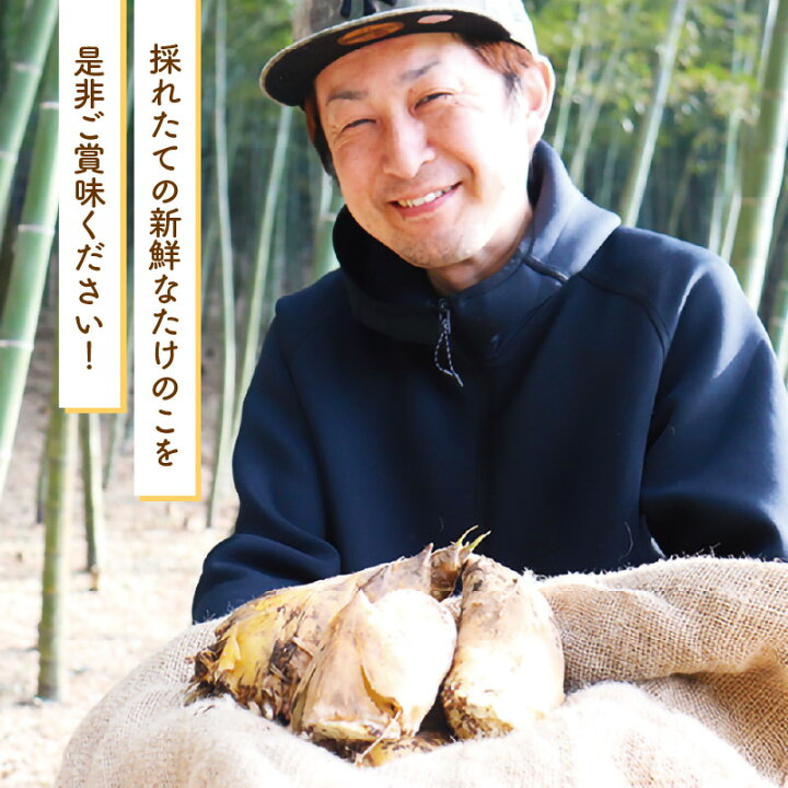 楽天市場】【ふるさと納税】【先行予約】赤土 たけのこ 約1kg～2kg 