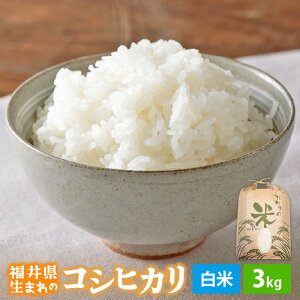 yӂ邳Ɣ[ŁzyVāz ߘa7NY RVqJ 3kg 䌧Yyāzy    R  Ђ 3L lCiz [e30-a095]