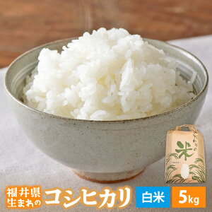 yӂ邳Ɣ[Łz yVāz ߘa7NY RVqJ 5kg 䌧Yyāzy   R  Ђ 5L lCiz [e30-a097]