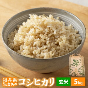 yӂ邳Ɣ[ŁzyVāz ߘa7NY RVqJ 5kg 䌧Yyāzy Ђ 5L lCiz [e30-a096]