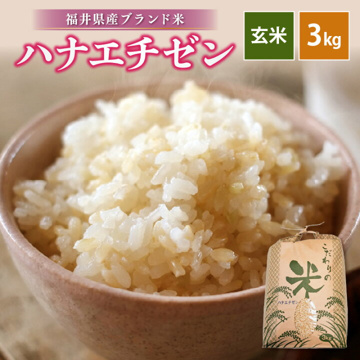 楽天市場】【ふるさと納税】 令和7年産 ハナエチゼン 3kg 福井県産 