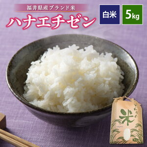 yӂ邳Ɣ[ŁzyVāz ߘa7NY niG`[ 5kg 䌧Yyāzy   R  ͂Ȃ ؉zO 5Lz [e30-a089]