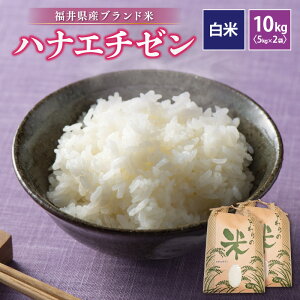 yӂ邳Ɣ[ŁzyVāz ߘa7NY niG`[ 10kg 䌧Yyāzy   R  ͂Ȃ ؉zO 10Lz [e30-b011]