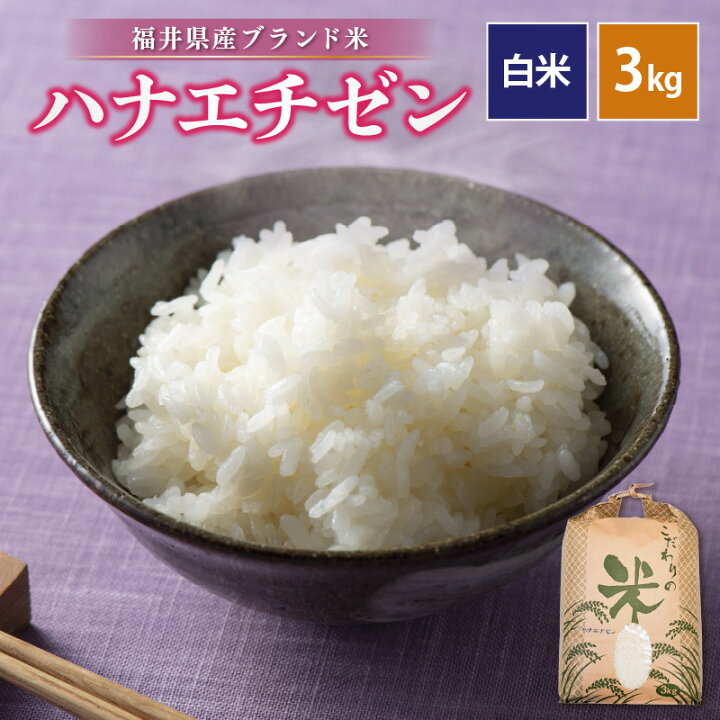 楽天市場】【ふるさと納税】 令和7年産 ハナエチゼン 3kg 福井県産 