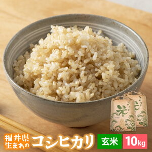 yӂ邳Ɣ[ŁzyVāz ߘa7NY RVqJ 10kg 䌧Yyāzy Ђ 10L lCiz [e30-b014]