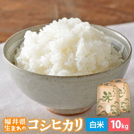 【ふるさと納税】【新米】 令和7年産 コシヒカリ 10kg 福井県産【白米】【お米 こめ 米 コメ こしひかり 10キロ 精米 人気品種】 [e30-c014]