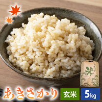 楽天市場】30キロ あきさかりの通販