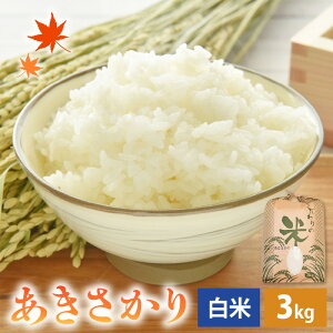 yӂ邳Ɣ[Łzys\z yVāz ߘa7NY  3kg 䌧Y RVqJniyāzy ALTJ 3Lz y2025N11菇z [e30-a091]