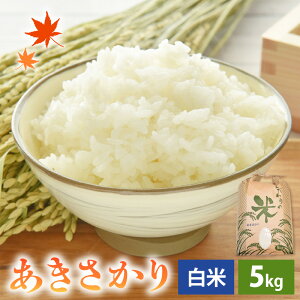 yӂ邳Ɣ[Łzys\z yVāz ߘa7NY  5kg 䌧Y RVqJniyāzy ALTJ 5Lz y2025N11菇z [e30-a093]