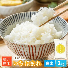 【ふるさと納税】 米 特A通算6回獲得！【お試し米】お米 いちほまれ 2kg 令和5年 福井県産【白米】【お米 2キロ 精米 人気品種 少量 買い回り お買い物マラソン 5000円以下】 [e30-a061]