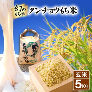 yӂ邳Ɣ[Łzys\zߘa7NY V ̂ ^`E () () 1kg / 3kg / 5kg y2025N10{菇z y  䌧Y  ` 񂿂傤   