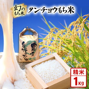 yӂ邳Ɣ[Łzys\zߘa7NY V ̂ ^`E () () 1kg / 3kg / 5kg y2025N10{菇z y  䌧Y  ` 񂿂傤   