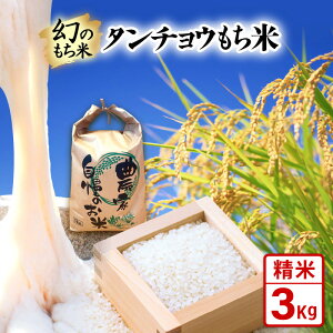yӂ邳Ɣ[Łzys\zߘa7NY V ̂ ^`E () () 1kg / 3kg / 5kg y2025N10{菇z y  䌧Y  ` 񂿂傤   