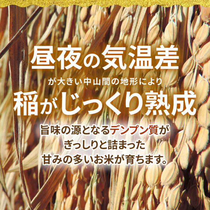楽天市場】【ふるさと納税】GOLDENもみがら 計10kg以上 × 1袋 【家庭 