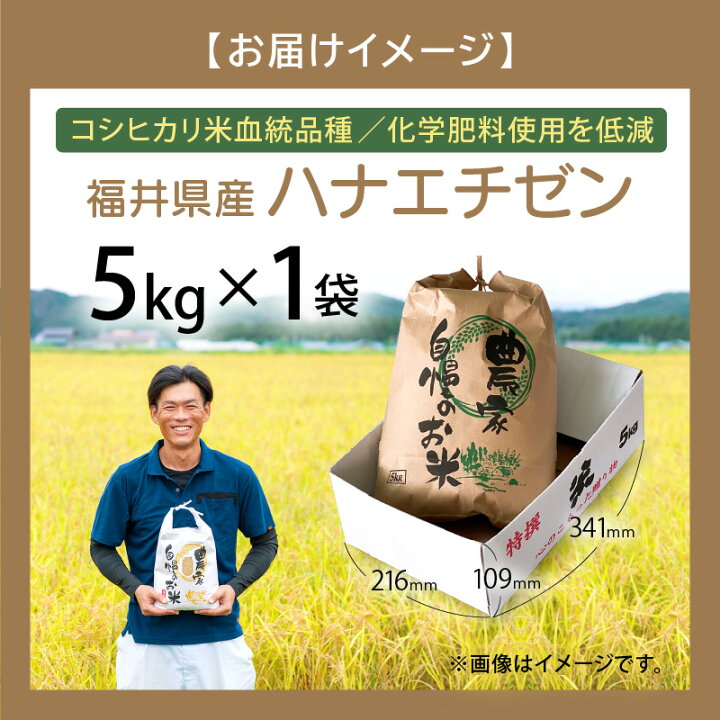 楽天市場】【ふるさと納税】【楽天限定】令和8年【新米】ハナエチゼン 