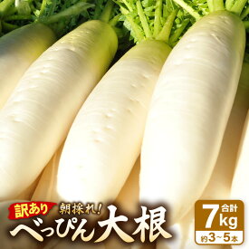 【ふるさと納税】【訳あり】朝採り新鮮 べっぴん大根 7kg以上 【2025年12月順次発送】産地直送【福井県産 冬野菜 なべ料理 惣菜 野菜 だいこん ダイコン 便利野菜 サラダ 漬物 露地栽培 送料無料】