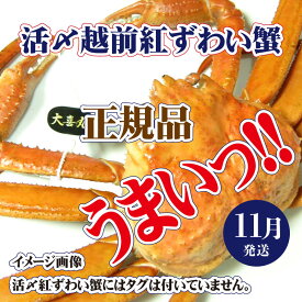 【ふるさと納税】活〆越前 紅ずわいがに × 1杯 旨味満載！！【浜茹で かに カニ 蟹 姿 ボイル 冷蔵 福井県】【11月発送分】希望日指定可 備考欄に希望日をご記入ください [e37-x001_11b]