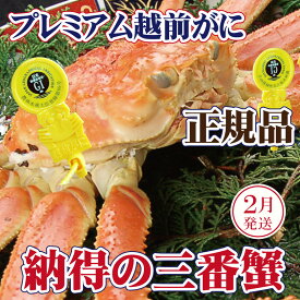 【ふるさと納税】越前がに × 1杯（三番蟹）桐箱入り！納得のプレミアム越前がに【雄 ズワイガニ かに カニ 蟹 姿 生 ボイル 冷蔵 福井県】【2月発送分】希望日指定可 備考欄に希望日をご記入ください [e37-x008_02]