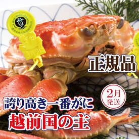 【ふるさと納税】越前がに × 1杯（一番蟹）桐箱入り！越前国の主！越前がにの象徴【雄 ズワイガニ かに カニ 蟹 姿 生 ボイル 冷蔵 福井県】【2月発送分】希望日指定可 備考欄に希望日をご記入ください [e37-x010_02]