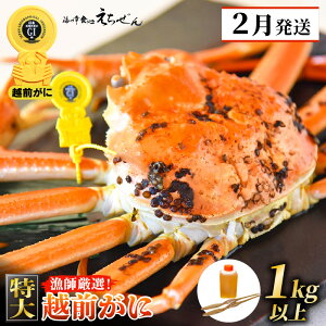 【ふるさと納税】≪浜茹で≫ 越前がに 特大 × 1杯(生で1kg以上)かに酢 かにスプーン2本 食べ方QRコード付き【雄 ズワイガニ ずわいがに 越前ガニ 姿 ボイル 冷蔵 福井県】【2月発送分】希