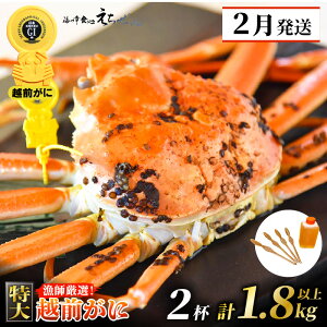 yӂ邳Ɣ[Łzl䥂Ł zO  × 2tiŌv1.8kgȏjɐ| ɃXv[4{ HוQRR[htyY YCKj 킢 p {C ① 䌧zy2z]w
