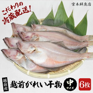 yӂ邳Ɣ[Łz①zI zOY Ԃꂢ  TCY 6 Ysgp YnI銱 ₷y Ђ  ԃKC ꂢ JCЂ lC 
