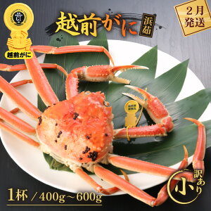 yӂ邳Ɣ[Łzy󂠂zl䥂ŁzO TCYi400`600gj × 1tyY YCKj zOKj p {C ①  Jj I 䌧zy2z]w lɊ]