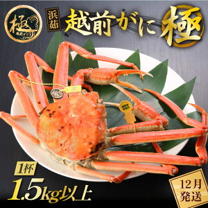 yӂ邳Ɣ[Łzl䥂ŁzO Ɂi1.5kgȏj × 1tyY YCKj zOKj p {C ①  Jj I 䌧zy12z]w lɃ[AhXL