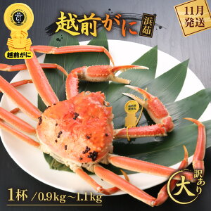 yӂ邳Ɣ[Łzy󂠂zl䥂ŁzO TCYi0.9`1.1kgj × 1tyY YCKj zOKj p {C ①  Jj I 䌧zy11z]w lɊ]
