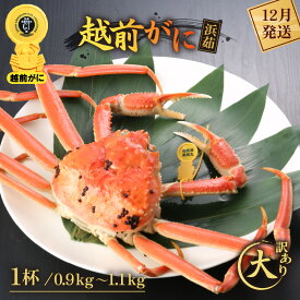 【ふるさと納税】【訳あり】≪浜茹で≫越前がに 大サイズ（生で0.9〜1.1kg） × 1杯【雄 ズワイガニ 越前ガニ 姿 ボイル 冷蔵 かに カニ 蟹 福井県】【12月発送分】希望日指定可 備考欄に希望日をご記入ください [e43-x002_12]
