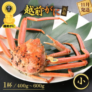 yӂ邳Ɣ[Łzl䥂ŁzO TCYi400`600gj × 1ty Jj Izy䌧 zO Y YCKj {C ① zOKj zO zOJj 킢 킢I  J